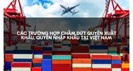 Các trường hợp chấm dứt quyền xuất khẩu, quyền nhập khẩu tại Việt Nam