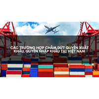 Các trường hợp chấm dứt quyền xuất khẩu, quyền nhập khẩu tại Việt Nam