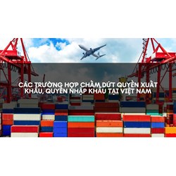 Các trường hợp chấm dứt quyền xuất khẩu, quyền nhập khẩu tại Việt Nam