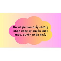 Hồ sơ gia hạn Giấy chứng nhận đăng ký quyền xuất khẩu, quyền nhập khẩu