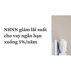 NHNN giảm lãi suất cho vay ngắn hạn xuống 5%/năm