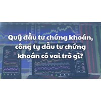 Quỹ đầu tư chứng khoán, công ty đầu tư chứng khoán có vai trò gì?