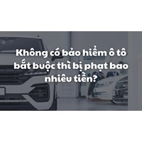 Không có bảo hiểm ô tô bắt buộc thì bị phạt bao nhiêu tiền?