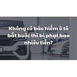 Không có bảo hiểm ô tô bắt buộc thì bị phạt bao nhiêu tiền?