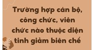 Trường hợp cán bộ, công chức, viên chức nào thuộc diện tinh giảm biên chế