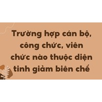 Trường hợp cán bộ, công chức, viên chức nào thuộc diện tinh giảm biên chế