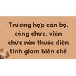 Trường hợp cán bộ, công chức, viên chức nào thuộc diện tinh giảm biên chế
