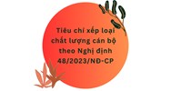 Tiêu chí xếp loại chất lượng cán bộ theo Nghị định 48/2023/NĐ-CP