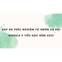 Đáp án trắc nghiệm Tự nhiên xã hội module 9 Tiểu học mới
