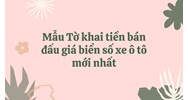 Mẫu Tờ khai tiền bán đấu giá biển số xe ô tô mới nhất