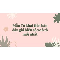 Mẫu Tờ khai tiền bán đấu giá biển số xe ô tô mới nhất