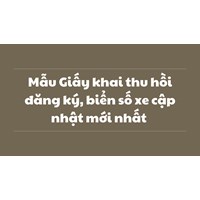Mẫu Giấy khai thu hồi đăng ký, biển số xe cập nhật mới nhất