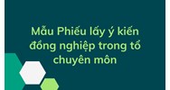 Mẫu Phiếu lấy ý kiến đồng nghiệp trong tổ chuyên môn năm 2024