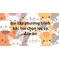 Bài tập phương trình bậc hai chọn lọc Có đáp án chi tiết nhất