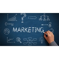 Học marketing cần giỏi môn nào? Có khó để trở thành marketer chuyên nghiệp?
