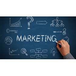 Học marketing cần giỏi môn nào? Có khó để trở thành marketer chuyên nghiệp?