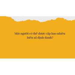 Một người có thể được cấp bao nhiêu biển số định danh?