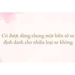 Có được dùng chung một biển số xe định danh cho nhiều loại xe không