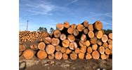 Chủ lâm sản phải lập bảng kê lâm sản theo mẫu nào đối với các lâm sản là gỗ tròn, gỗ xẻ?