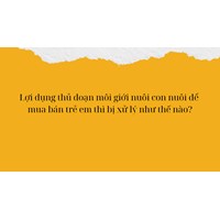 Lợi dụng thủ đoạn môi giới nuôi con nuôi để mua bán trẻ em thì bị xử lý như thế nào?