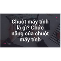 Chuột máy tính là gì? Chức năng của chuột máy tính