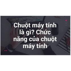 Chuột máy tính là gì? Chức năng của chuột máy tính