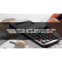 Hướng dẫn tải Quyết định thu hồi tiền trong thanh tra quản lý nhà nước