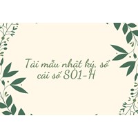 Tải mẫu nhật ký, sổ cái số S01-H