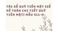 Tải sổ quỹ tiền mặt (Sổ kế toán chi tiết quỹ tiền mặt) mẫu S11-H