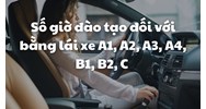 Số giờ đào tạo đối với bằng lái xe A1, A2, A3, A4, B1, B2, C mới nhất