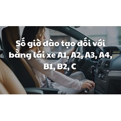 Số giờ đào tạo đối với bằng lái xe A1, A2, A3, A4, B1, B2, C mới nhất