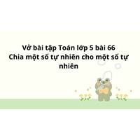 Vở bài tập Toán lớp 5 bài 66 Chia một số tự nhiên cho một số tự nhiên