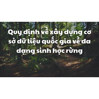 Quy định về xây dựng cơ sở dữ liệu quốc gia về đa dạng sinh học rừng