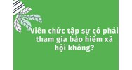 Viên chức tập sự có phải tham gia bảo hiểm xã hội không?