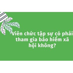 Viên chức tập sự có phải tham gia bảo hiểm xã hội không?