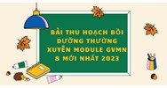 Bài thu hoạch bồi dưỡng thường xuyên module GVMN 26 mới nhất