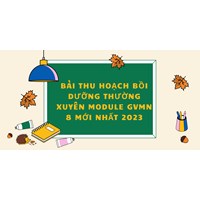 Bài thu hoạch bồi dưỡng thường xuyên module GVMN 8 mới nhất