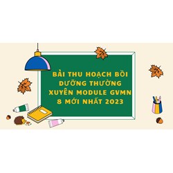 Bài thu hoạch bồi dưỡng thường xuyên module GVMN 8 mới nhất