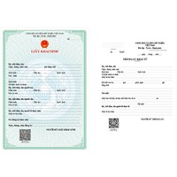 Hướng dẫn đăng ký khai sinh, nhập khẩu, cấp thẻ bảo hiểm y tế online cho trẻ