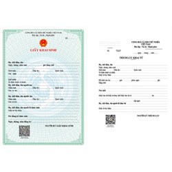 Hướng dẫn đăng ký khai sinh, nhập khẩu, cấp thẻ bảo hiểm y tế online cho trẻ