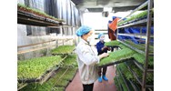 Chính sách miễn, giảm tiền thuê đất cho hợp tác xã nông nghiệp