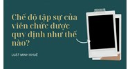 Chế độ tập sự của viên chức được quy định như thế nào?