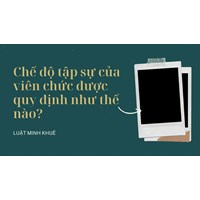 Chế độ tập sự của viên chức được quy định như thế nào?