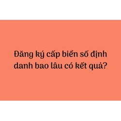 Đăng ký cấp biển số định danh bao lâu có kết quả?