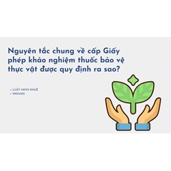 Nguyên tắc chung về cấp Giấy phép khảo nghiệm thuốc bảo vệ thực vật được quy định ra sao?