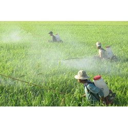 Giấy phép khảo nghiệm thuốc bảo vệ thực vật có giá trị trong thời hạn bao nhiêu năm?