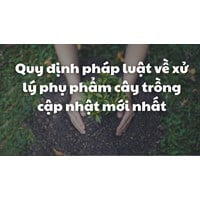 Quy định pháp luật về xử lý phụ phẩm cây trồng cập nhật mới nhất