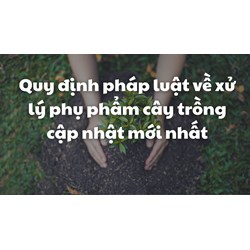 Quy định pháp luật về xử lý phụ phẩm cây trồng cập nhật mới nhất