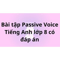 Bài tập Passive Voice (Câu bị động) Tiếng Anh lớp 8 có đáp án