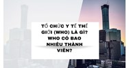 Tổ chức Y tế Thế giới (WHO) là gì? WHO có bao nhiêu thành viên?
